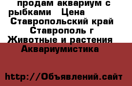 продам аквариум с рыбками › Цена ­ 6 000 - Ставропольский край, Ставрополь г. Животные и растения » Аквариумистика   